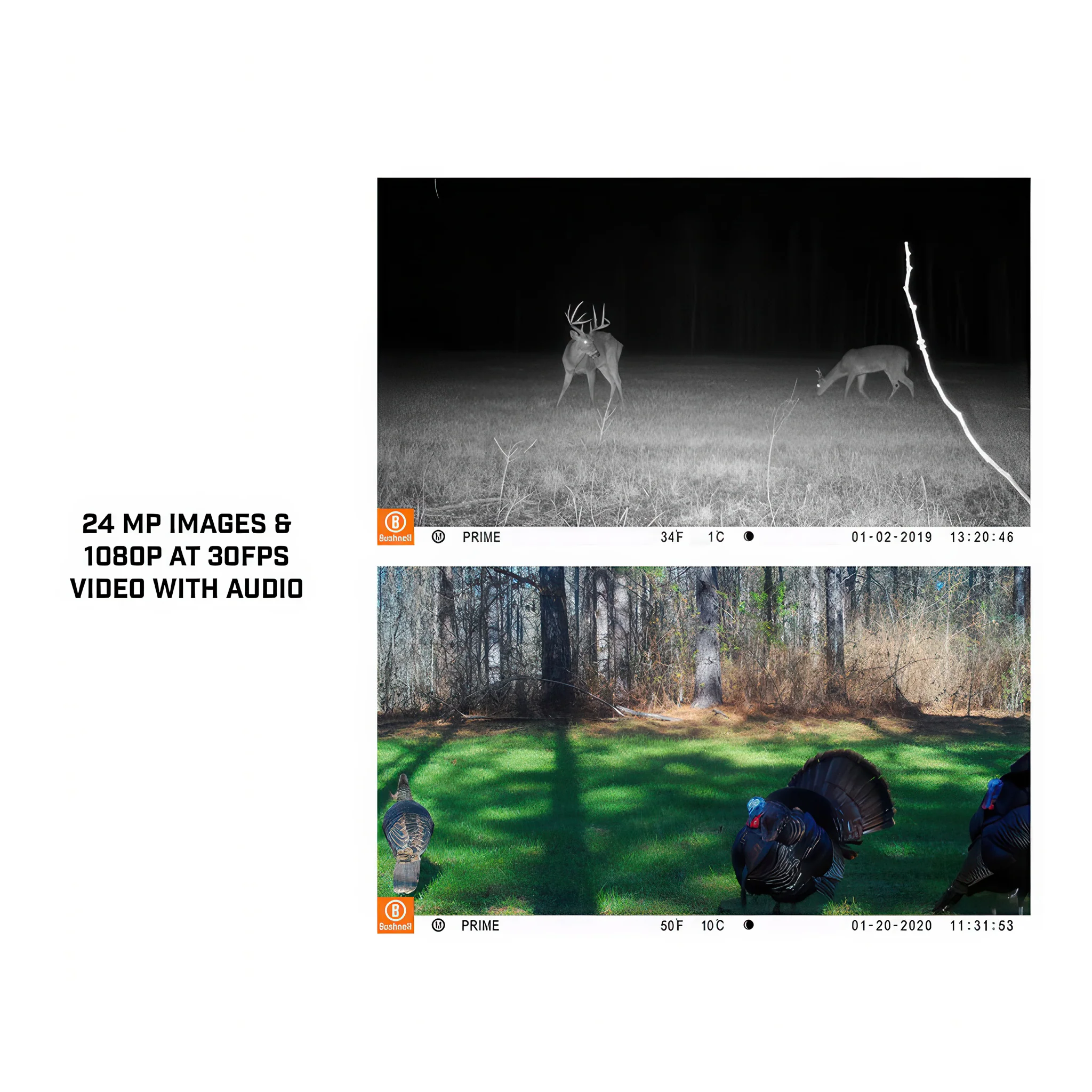 Bushnell Prime Low-Glow 24MP Trail Camera Kit- 119932C - Image 5