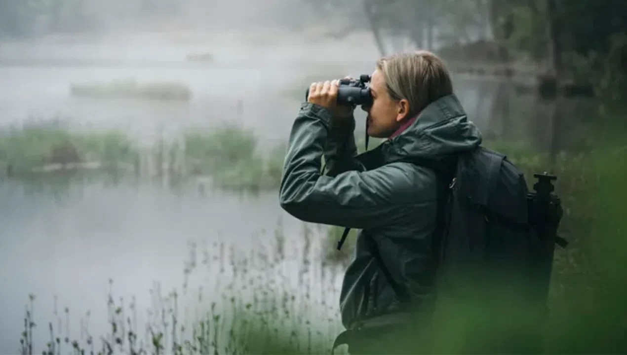 Swarovski Forehead Rest- SWFRP-NL - Image 3