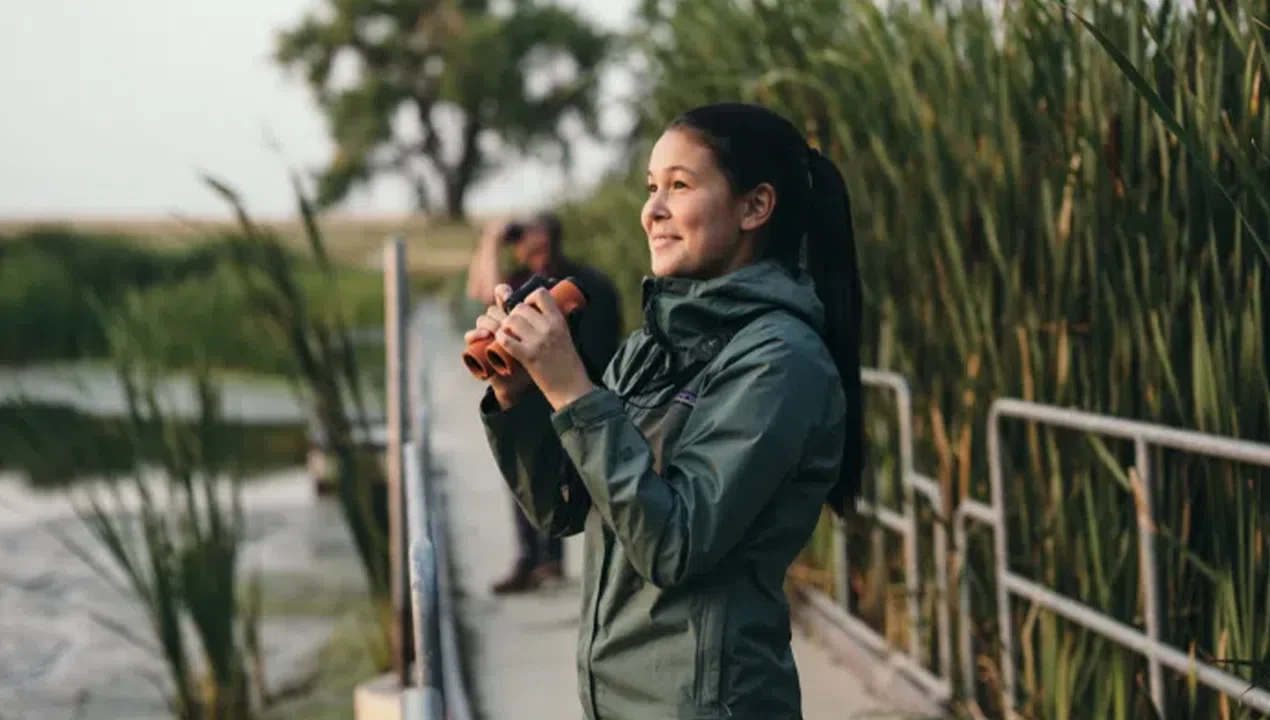 Swarovski NL Pure 10x42 Binoculars- NL1042 (Green) - Image 7