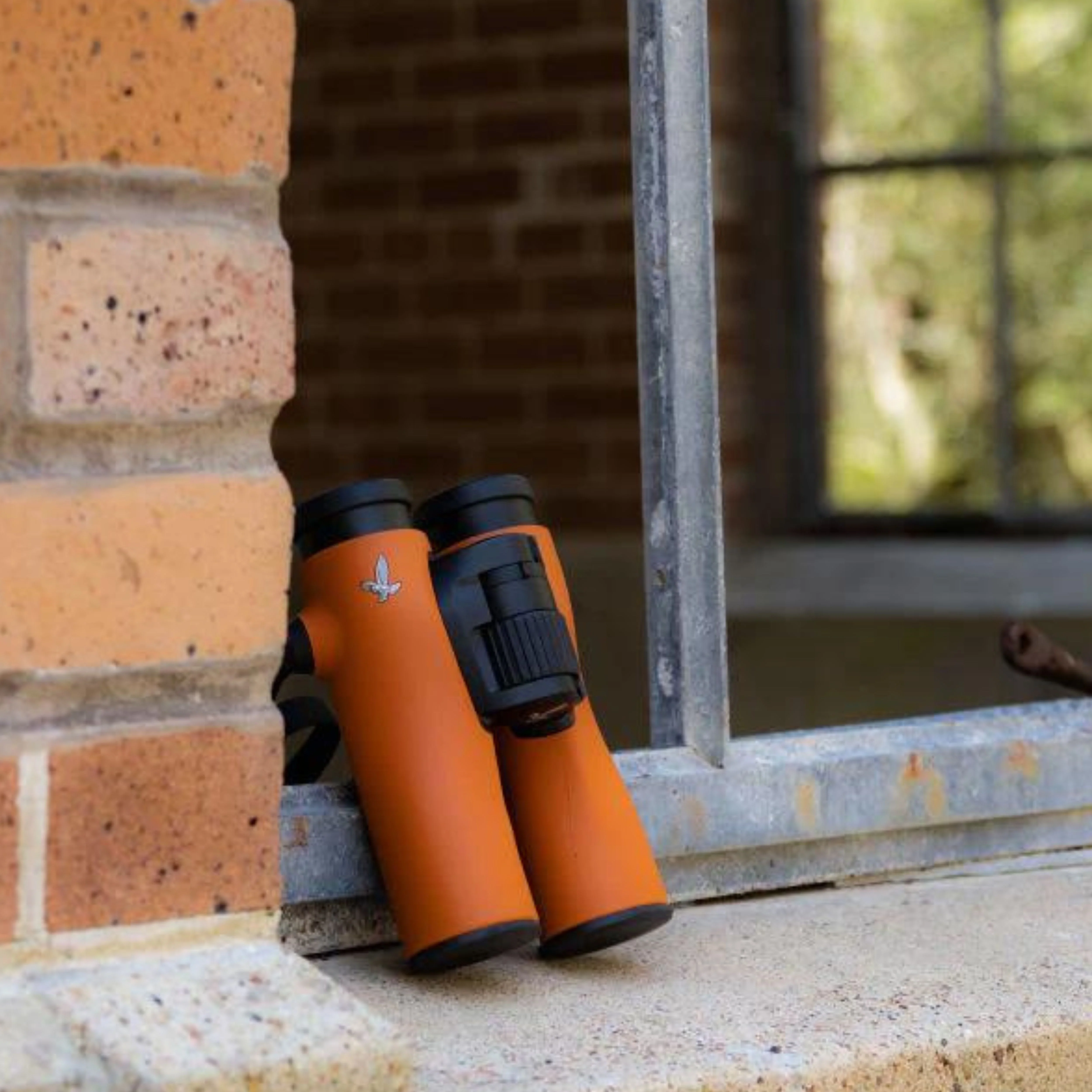 Swarovski NL Pure 8x32 Binoculars- NL832-(Burnt Orange) - Image 5